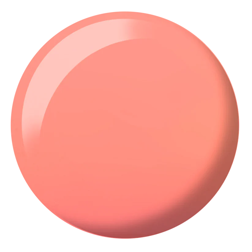 DND DIVA #201-290 - Image 11