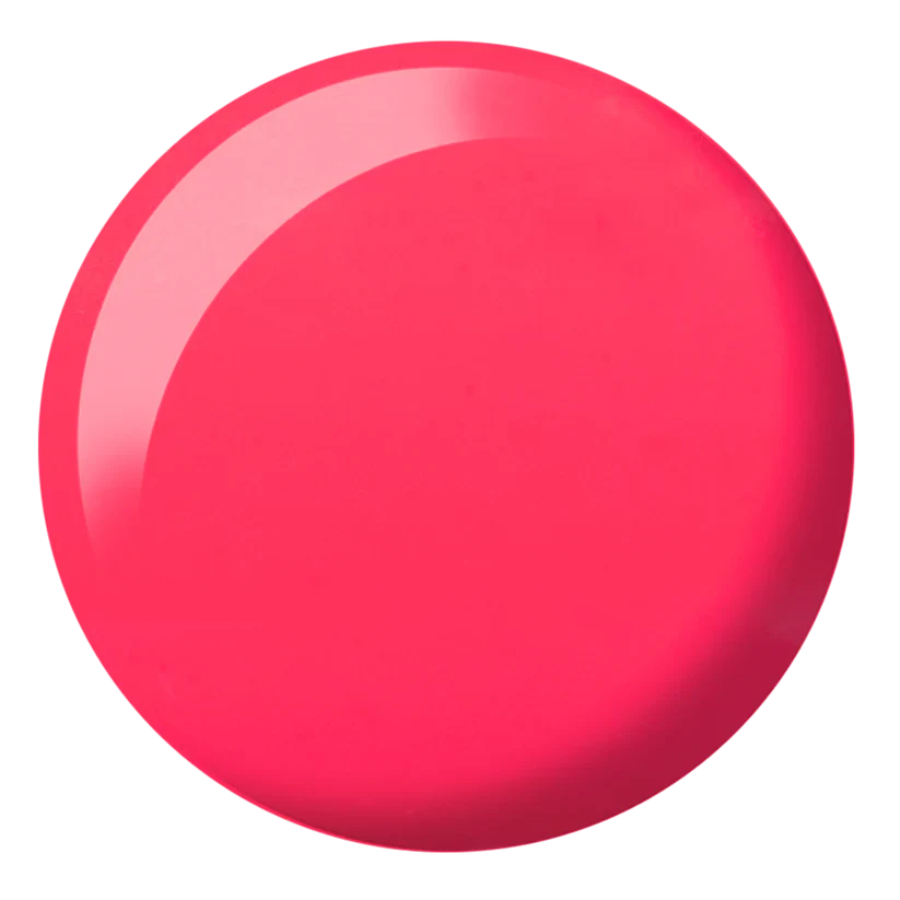 DND DIVA #201-290 - Image 16