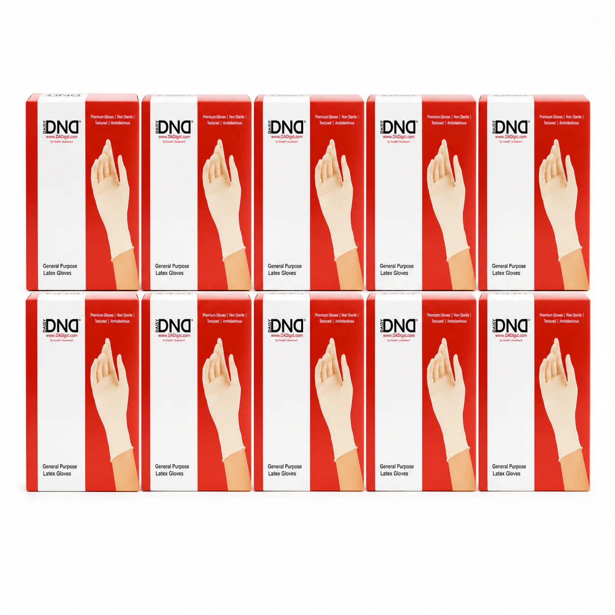 DND Premium Latex Gloves - Image 2