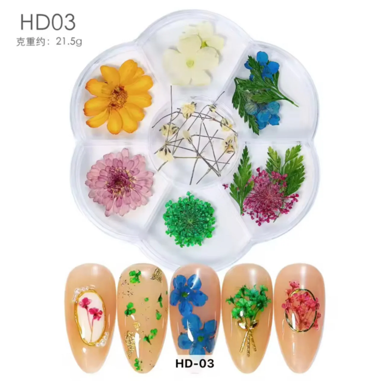 Dried Flowers Assorted Pack - Image 2
