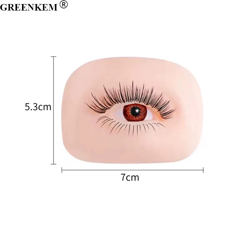Silicone 5D Eyelash Practice & Eyebrow Pattern Eye Model - Image 4