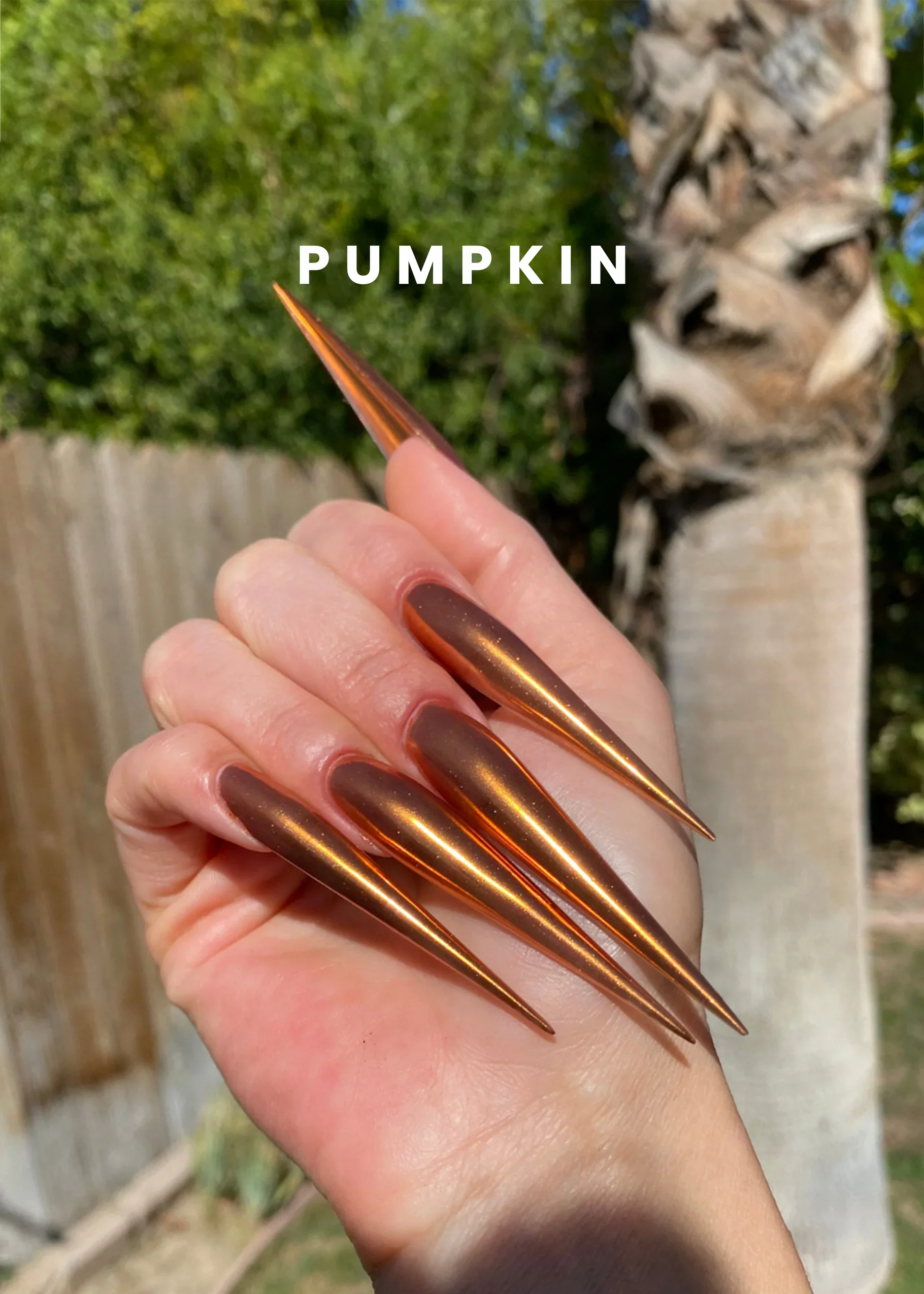 V Beauty Pure Chrome Powder - Pumpkin - Image 3